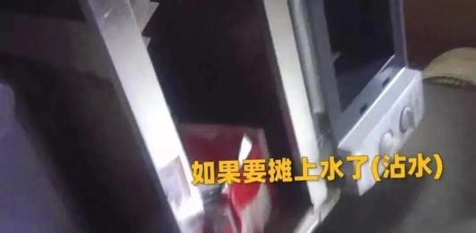 (男子华莱士汉堡中吃出蟑螂)男子华莱士汉堡中吃出2只炸熟蟑螂!门店多次因食安问题被罚 网友:怎么又是华莱士?  第5张