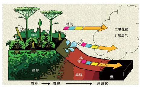 (化工原料之母是什么)煤和炭的区别是什么?院士解析→ 第1张 (化工原料之母是什么)煤和炭的区别是什么?院士解析→ 第1张