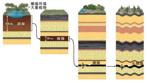 (化工原料之母是什么)煤和炭的区别是什么?院士解析→ 第2张 (化工原料之母是什么)煤和炭的区别是什么?院士解析→ 第2张