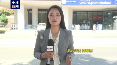 (土耳其签证)记者观察丨土耳其称在签证问题上被西方国家双标对待  第3张