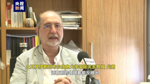 (土耳其签证)记者观察丨土耳其称在签证问题上被西方国家双标对待  第5张