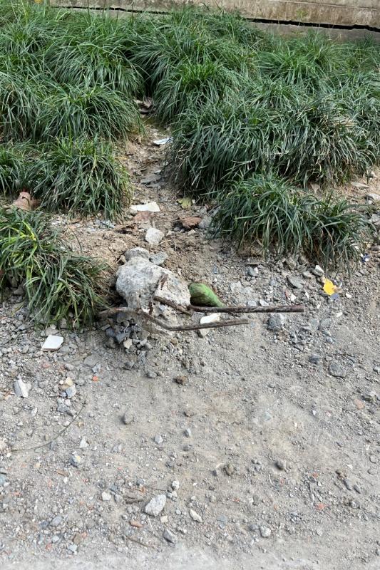 (网格员是做什么的)网格监督员是做什么的?这里有答案 第1张 (网格员是做什么的)网格监督员是做什么的?这里有答案 第1张