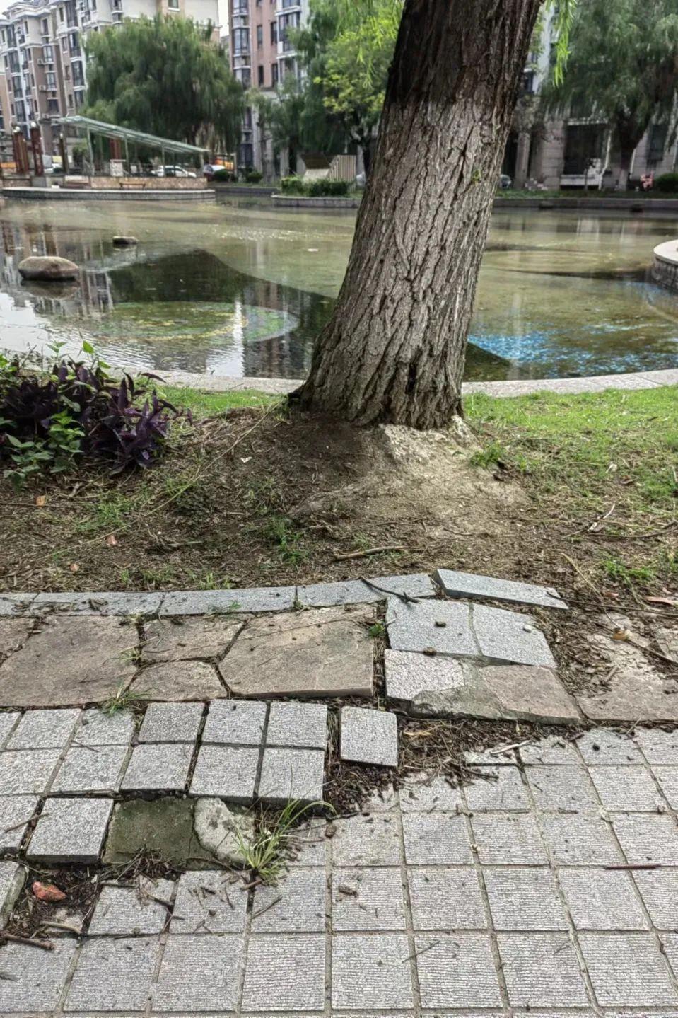 (网格员是做什么的)网格监督员是做什么的?这里有答案 第3张 (网格员是做什么的)网格监督员是做什么的?这里有答案 第3张