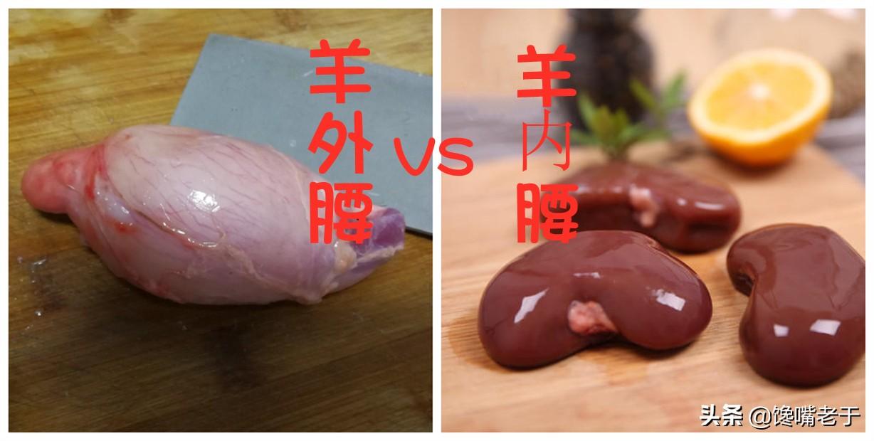 (腰子是哪个部位)羊身上“最贵”的一个部位,不论斤卖按个卖,但很多人吃不下 第6张 (腰子是哪个部位)羊身上“最贵”的一个部位,不论斤卖按个卖,但很多人吃不下 第6张