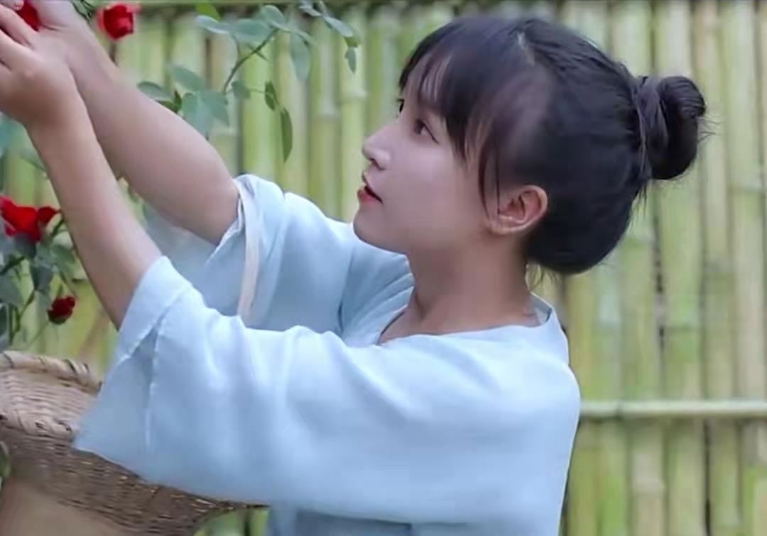 (youtube赚钱)"李子柒IP"有多赚钱!YouTube年入百万，却不属于李子柒本人  第8张