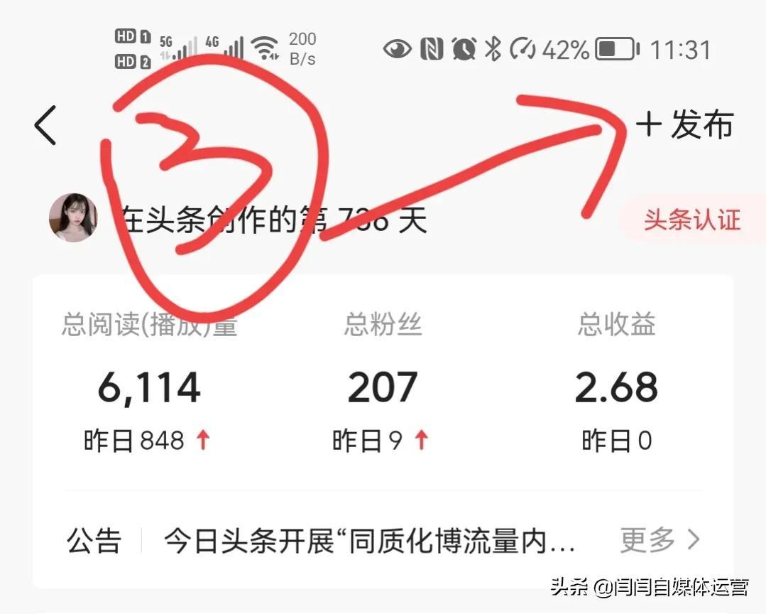 (投稿赚钱)头条怎么投稿赚钱?具体怎么操作?  第3张