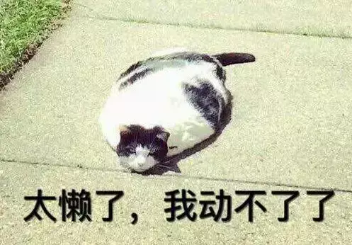 (支付宝安全吗)手机被盗后，你的支付宝真的还安全吗?  第2张
