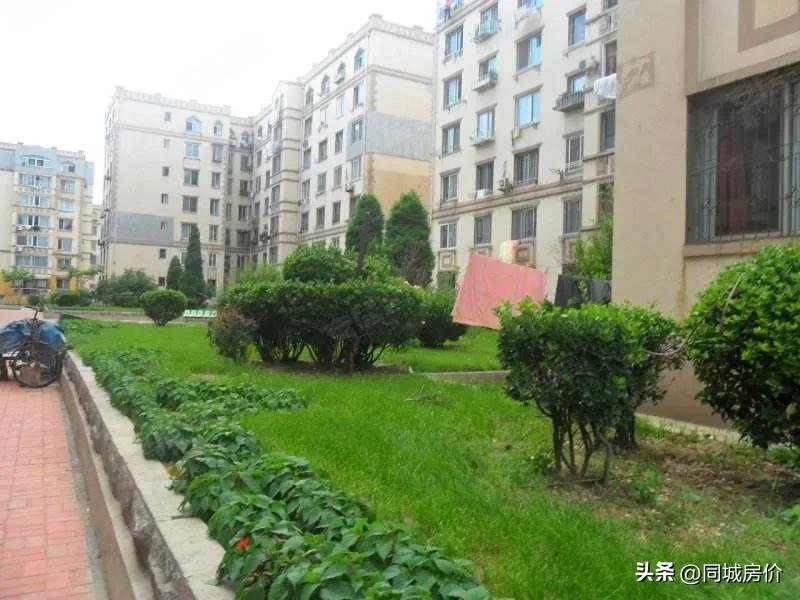 (青岛房价)青岛城阳区房价太疯狂,城阳热门小区房价公布了,你能买得起哪个 第2张 (青岛房价)青岛城阳区房价太疯狂,城阳热门小区房价公布了,你能买得起哪个 第2张