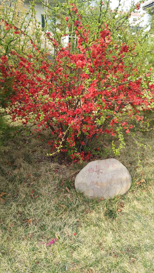 (可以赚钱的软件)各位App达人,推荐几个赚钱多的软件。我用的软件,你们用了么? 第6张 (可以赚钱的软件)各位App达人,推荐几个赚钱多的软件。我用的软件,你们用了么? 第6张