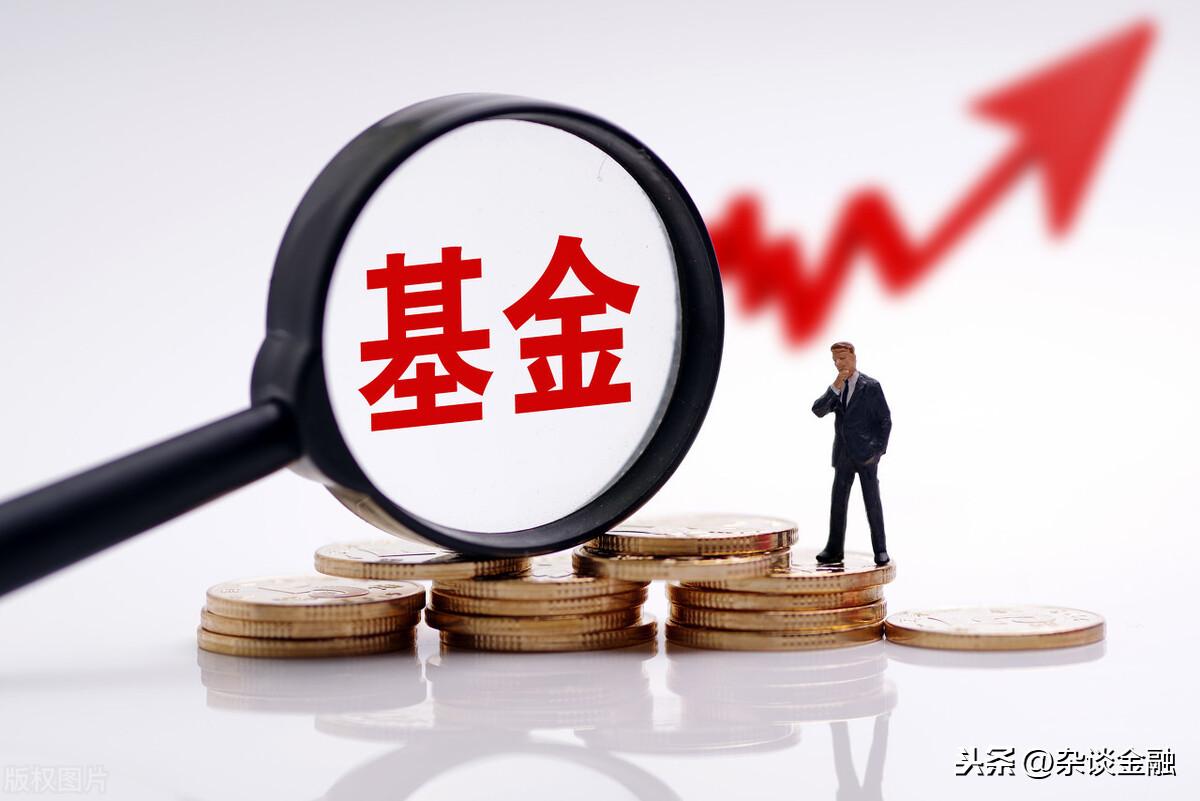 (单位净值是什么意思)基金中的单位净值，是什么意思?  第2张