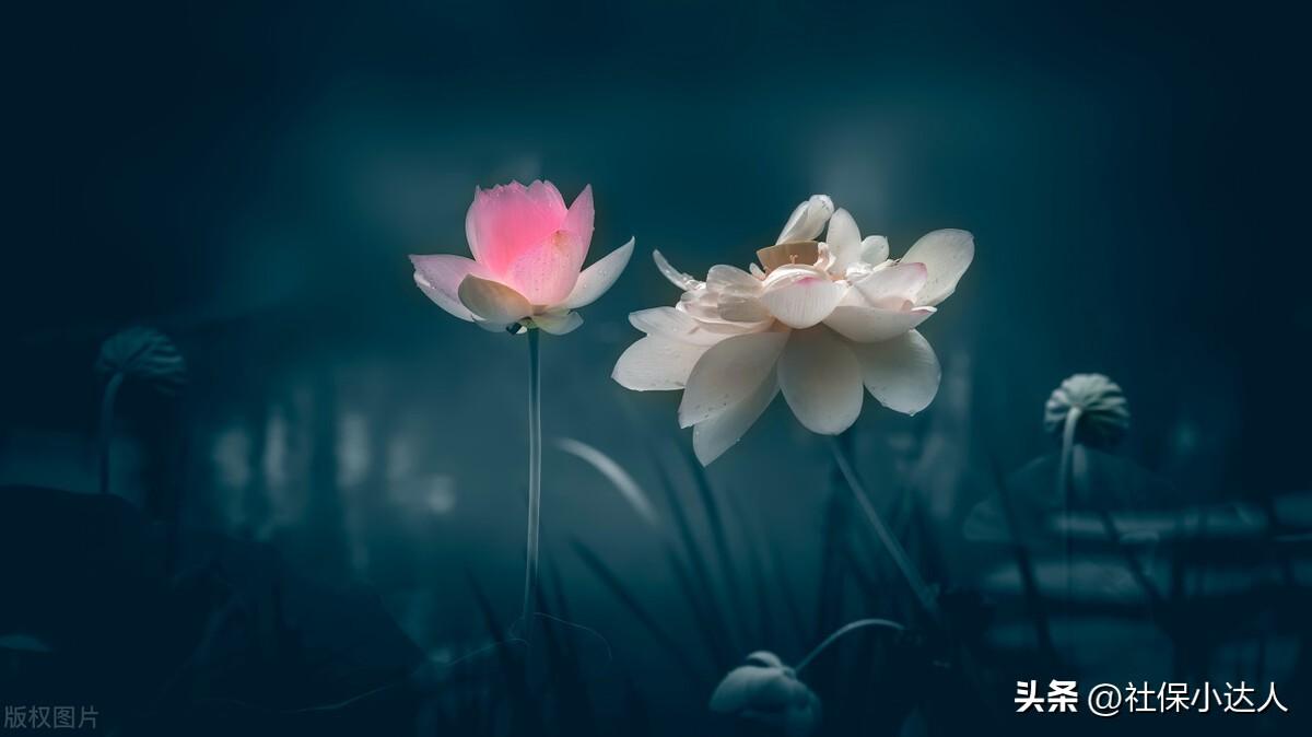 (过年社保提前发工资吗)春节临近,1月份养老金会提前发放吗?人人都会有过节费吗? 第3张 (过年社保提前发工资吗)春节临近,1月份养老金会提前发放吗?人人都会有过节费吗? 第3张
