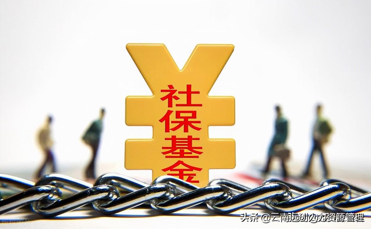 (单位交的社保是什么档次)个人缴纳社保,什么样的档次最划算? 第1张 (单位交的社保是什么档次)个人缴纳社保,什么样的档次最划算? 第1张