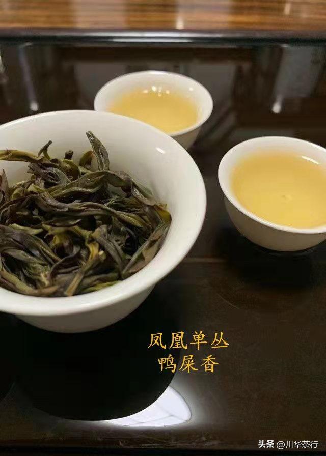 (鸭屎香是什么茶)鸭屎香是什么茶?又是什么味道的?  第1张
