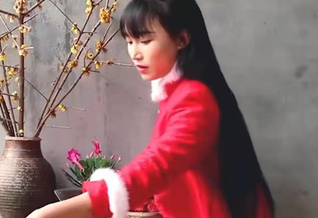 (youtube赚钱)"李子柒IP"有多赚钱!YouTube年入百万，却不属于李子柒本人  第5张