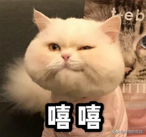 (股份和股权)股权和股份的区别? 第2张 (股份和股权)股权和股份的区别? 第2张