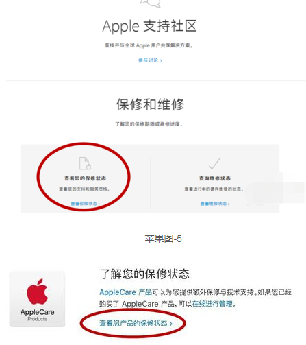 iphone激活时间查询，iPhone 11怎么查询激活时间?苹果手机激活时间的查询方法  第4张