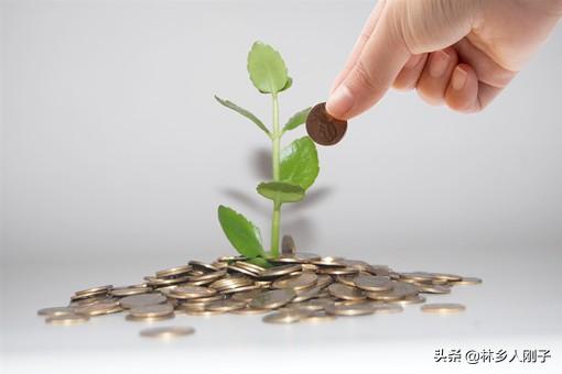 「农村养殖业贷款」2020年农村养殖业无息贷款怎么办理?申请条件有哪些? 第2张 「农村养殖业贷款」2020年农村养殖业无息贷款怎么办理?申请条件有哪些? 第2张