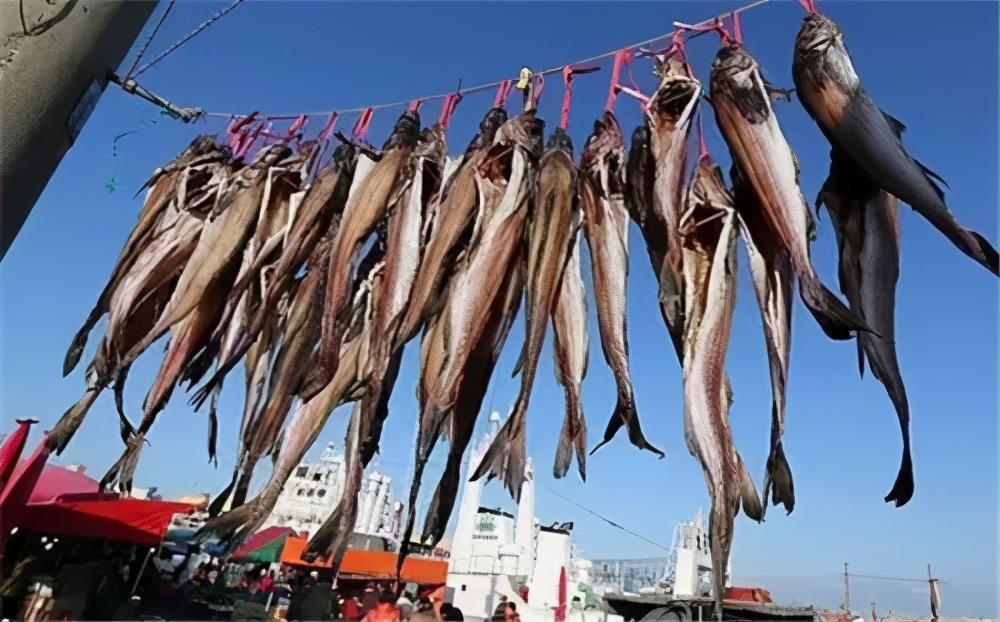 (明太鱼)明太鱼的“江湖”:韩国吃掉80%产量,俄罗斯借道中国抬价 第8张 (明太鱼)明太鱼的“江湖”:韩国吃掉80%产量,俄罗斯借道中国抬价 第8张