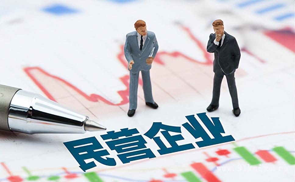 (民营企业是什么意思)关于私营企业是指什么意思  第1张