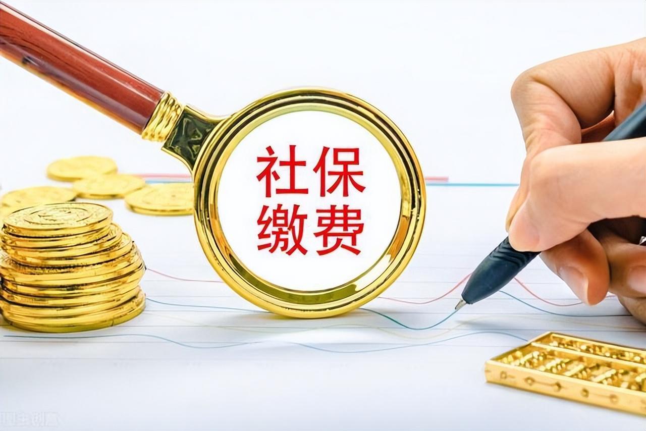 (养老保险单位和个人缴费比例)养老保险单位和个人缴费比例分别是多少?养老保险怎么购买?  第3张