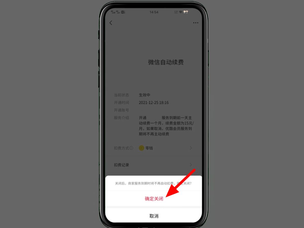 (微信自动扣费怎么关闭)微信自动扣费怎么关闭 第12张 (微信自动扣费怎么关闭)微信自动扣费怎么关闭 第12张