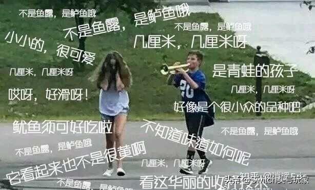 动森房贷，动森开岛第一天!教你如何快速还完第一个贷款  第8张
