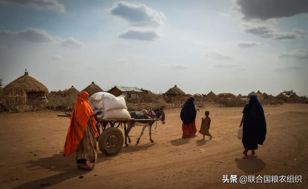 (新扶贫标准)联合国粮农组织公布衡量农村贫困新标准  第2张
