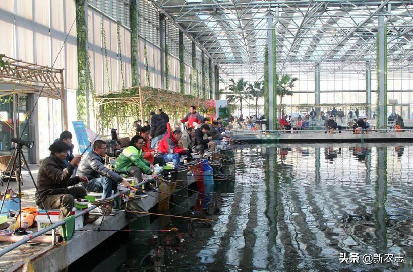 (30万创业项目)农村创业项目少，但他却投30万建室内钓鱼场，年利润可观  第1张