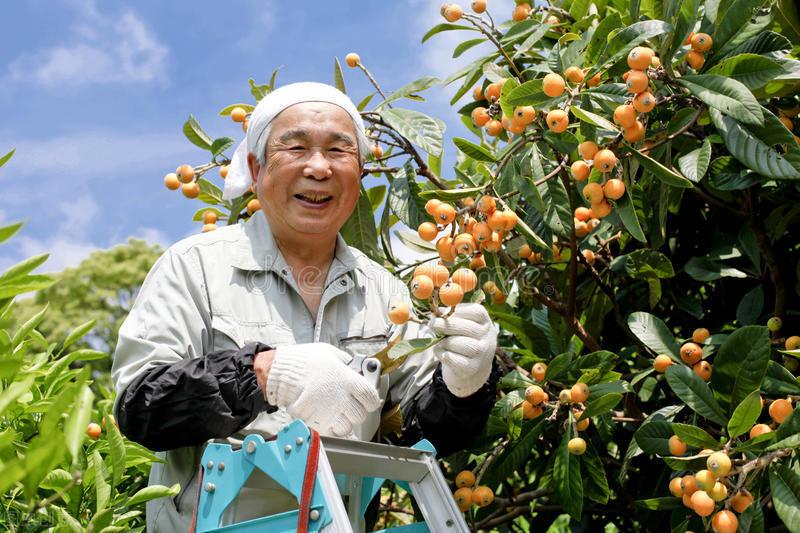 (期权是什么)什么是期权?获得公司期权奖励的员工都能一夜暴富么?  第4张