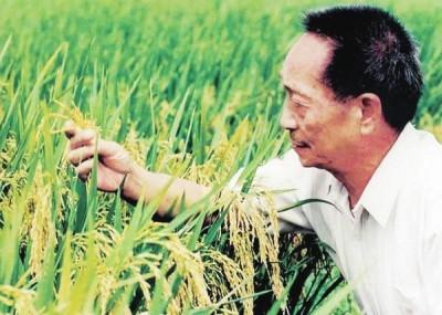 (袁隆平身价)“90后”袁隆平身价过千亿，是隐形富豪?实际他的收入才这个数  第2张