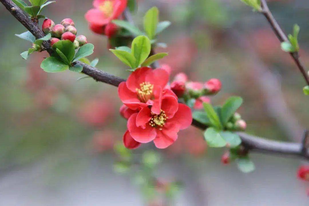 低眉信手续续弹，低眉信手续续弹，说尽心中无限事  第2张