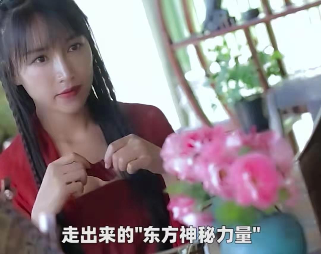 (youtube赚钱)"李子柒IP"有多赚钱!YouTube年入百万，却不属于李子柒本人  第2张