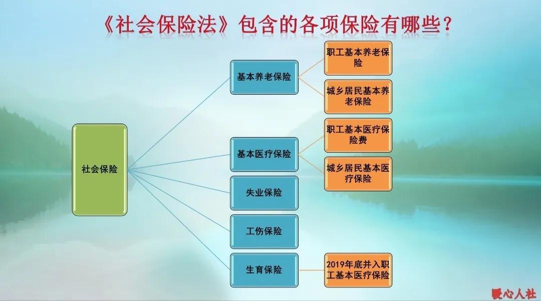 (公司社保和个人社保)公司缴纳社保和个人缴纳社保有这七点不同，看看你都错过了什么?  第1张