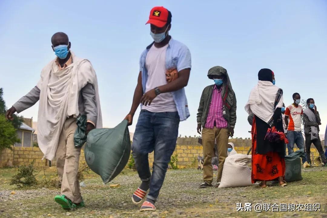(新扶贫标准)联合国粮农组织公布衡量农村贫困新标准  第7张