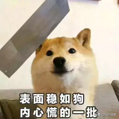 (中国银行电话)我开始慌了,中国银行这两条信息什么意思?小编遇到了诈骗?  第2张 (中国银行电话)我开始慌了,中国银行这两条信息什么意思?小编遇到了诈骗?  第2张