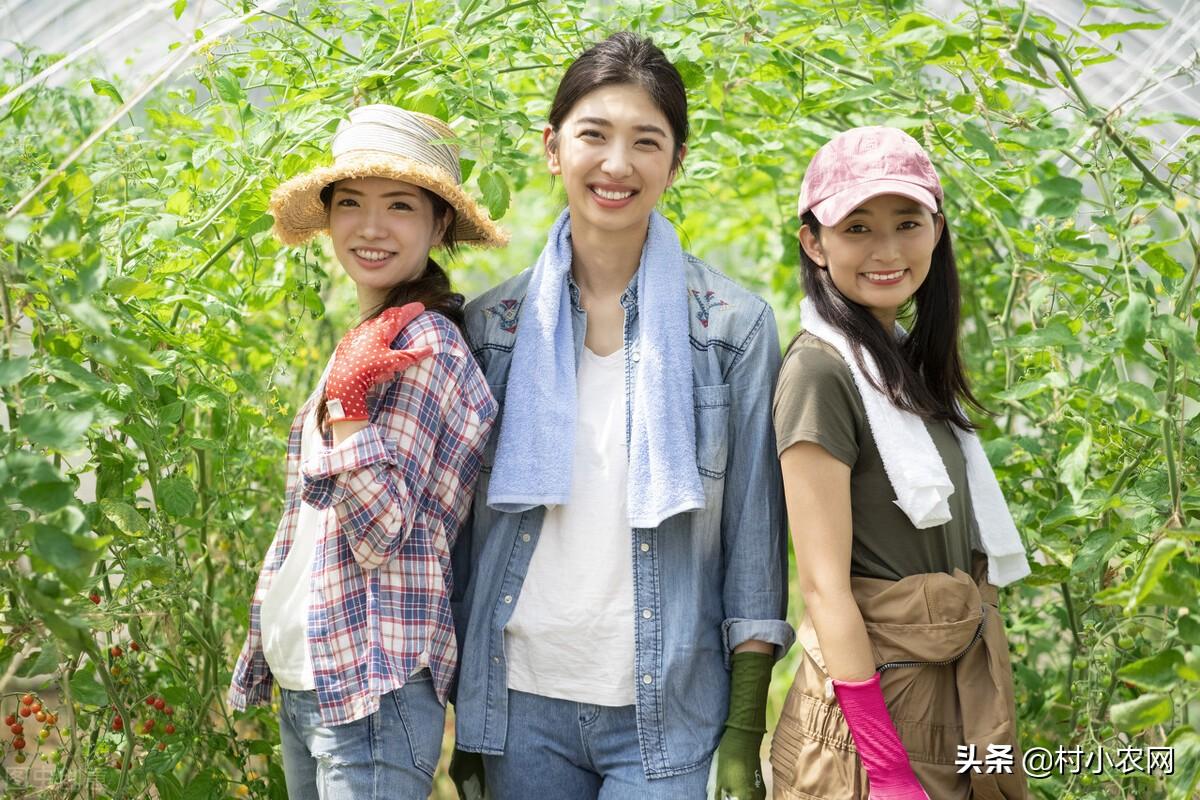 (创业致富项目)农村干啥赚钱?返乡创业这5个致富好项目,搞好了你也能月入过万 第1张 (创业致富项目)农村干啥赚钱?返乡创业这5个致富好项目,搞好了你也能月入过万 第1张