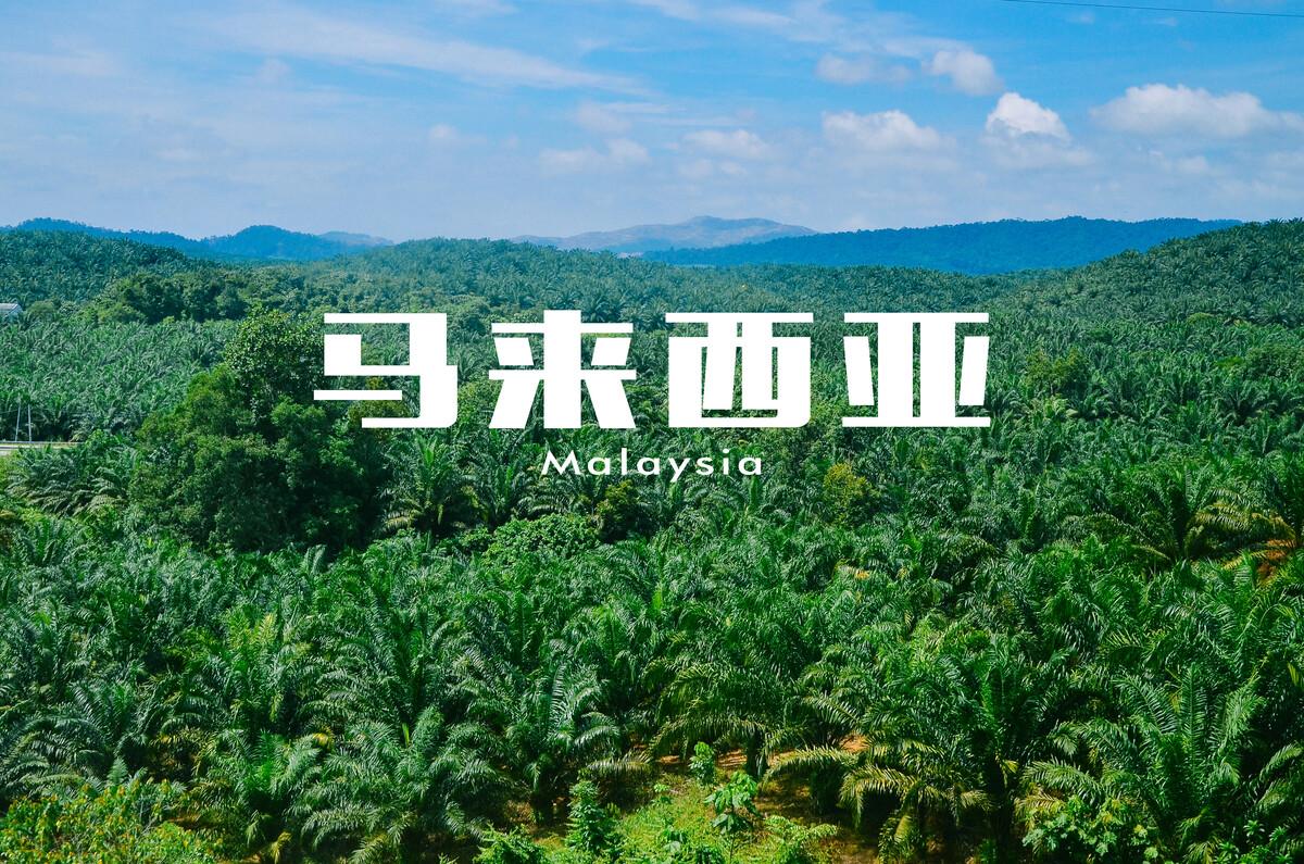 (马来西亚移民要求)移民马来西亚红卡和第二家园要区分 第8张 (马来西亚移民要求)移民马来西亚红卡和第二家园要区分 第8张