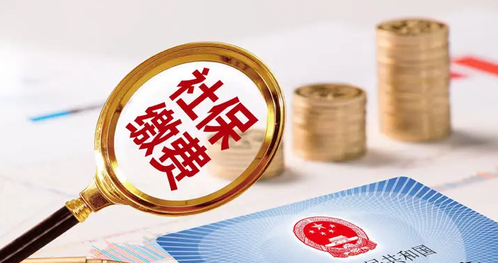 (社保里有几种保险)社保分几种保险?社保有什么好处?社保一般账户与临时账户的区别 第2张 (社保里有几种保险)社保分几种保险?社保有什么好处?社保一般账户与临时账户的区别 第2张