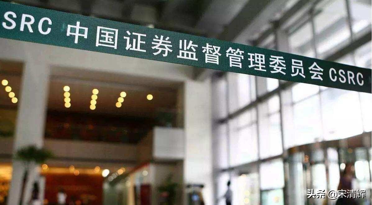 (商誉高好还是低好)宋清辉:高商誉是“双刃剑” 第1张 (商誉高好还是低好)宋清辉:高商誉是“双刃剑” 第1张