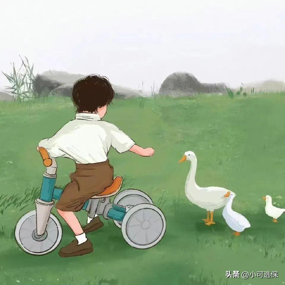(0岁宝宝买什么保险最划算)少儿意外险推荐:美亚宝贝无忧儿童意外险,0免赔不限社保 第1张 (0岁宝宝买什么保险最划算)少儿意外险推荐:美亚宝贝无忧儿童意外险,0免赔不限社保 第1张