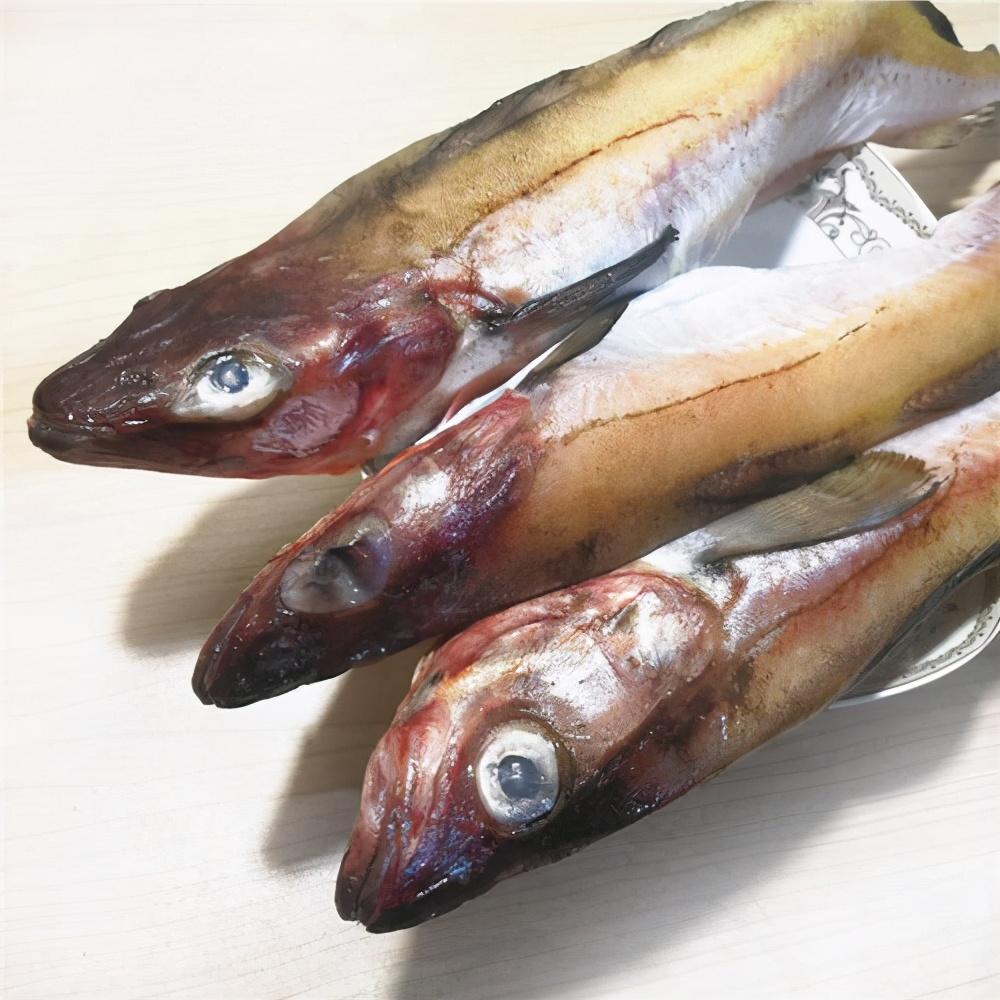 (明太鱼)明太鱼的“江湖”:韩国吃掉80%产量,俄罗斯借道中国抬价 第4张 (明太鱼)明太鱼的“江湖”:韩国吃掉80%产量,俄罗斯借道中国抬价 第4张