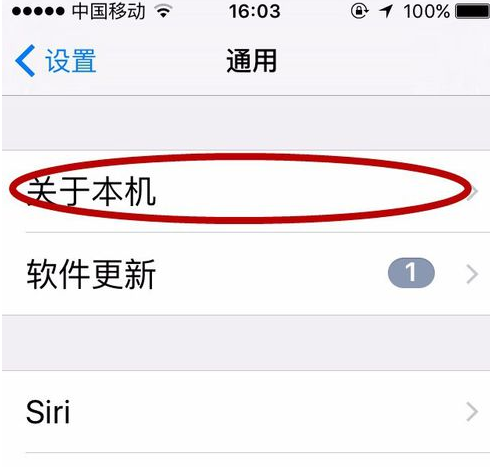 iphone激活时间查询，iPhone 11怎么查询激活时间?苹果手机激活时间的查询方法  第2张