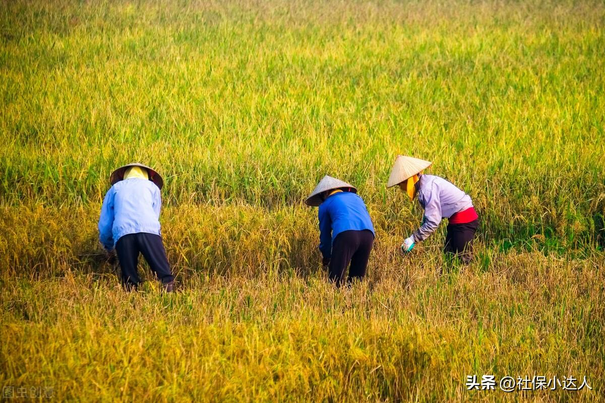 (退休待遇)60岁以上农民一律享受退休待遇,统一每人每月发1000元,可行吗? 第2张 (退休待遇)60岁以上农民一律享受退休待遇,统一每人每月发1000元,可行吗? 第2张