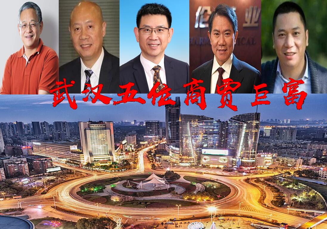 赵薇老公身价多少亿,湖北武汉五大商贾巨富,总身价超500亿?明星赵薇老公位列其中 第1张 赵薇老公身价多少亿,湖北武汉五大商贾巨富,总身价超500亿?明星赵薇老公位列其中 第1张