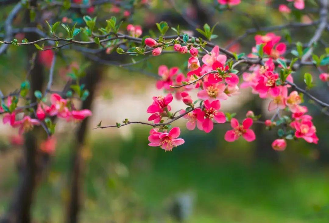 低眉信手续续弹，低眉信手续续弹，说尽心中无限事  第3张