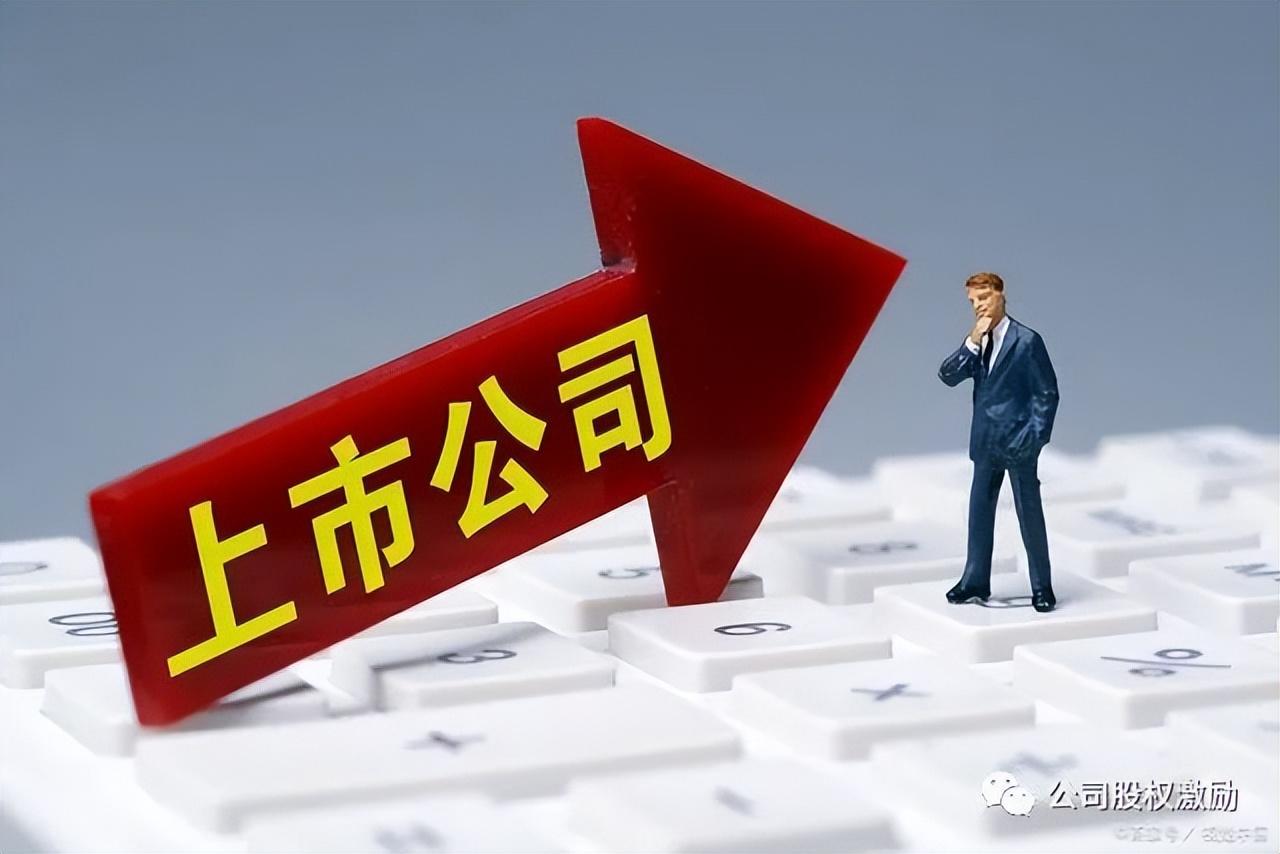 公司上市与不上市有什么区别?(上市和不上市的区别)  第3张