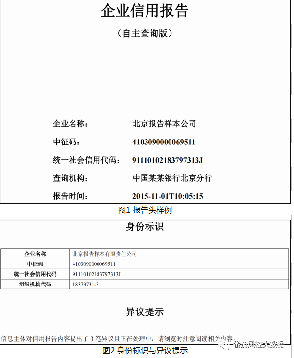 (征信报告)企业人行征信报告的全面梳理与数据介绍 第1张 (征信报告)企业人行征信报告的全面梳理与数据介绍 第1张