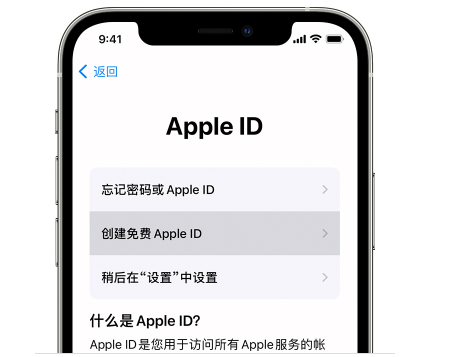 apple id 密码怎么设置(appleid是什么)  第1张