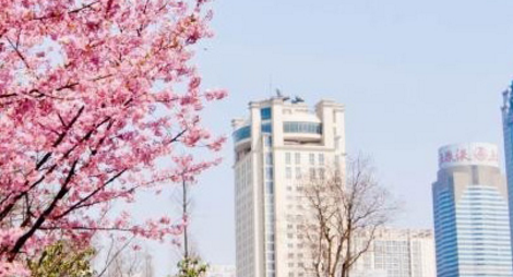 (华中科技大学就业信息网)华中科技大学:2020专项计划、2019就业质量情况 第1张 (华中科技大学就业信息网)华中科技大学:2020专项计划、2019就业质量情况 第1张