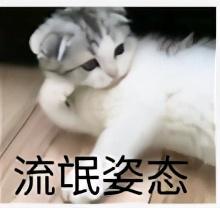 (买保险)一击必杀!五分钟教你学会买保险 第7张 (买保险)一击必杀!五分钟教你学会买保险 第7张